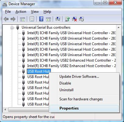 USB Root Hubs